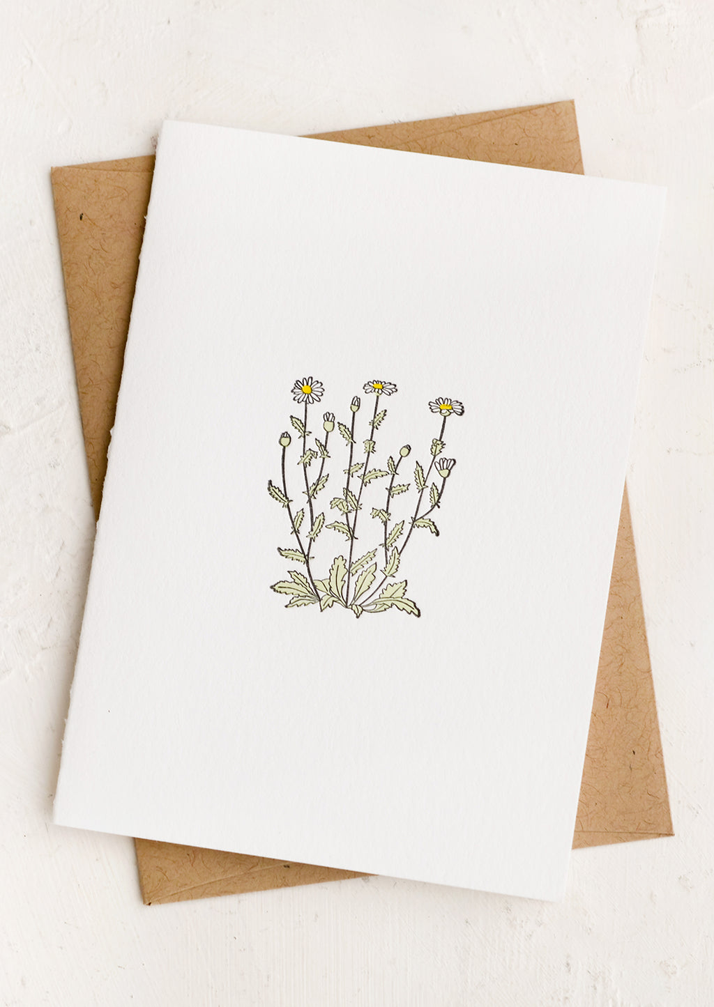 Daisy: A blank white card with daisy illustration.