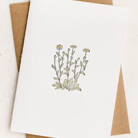 Daisy: A blank white card with daisy illustration.