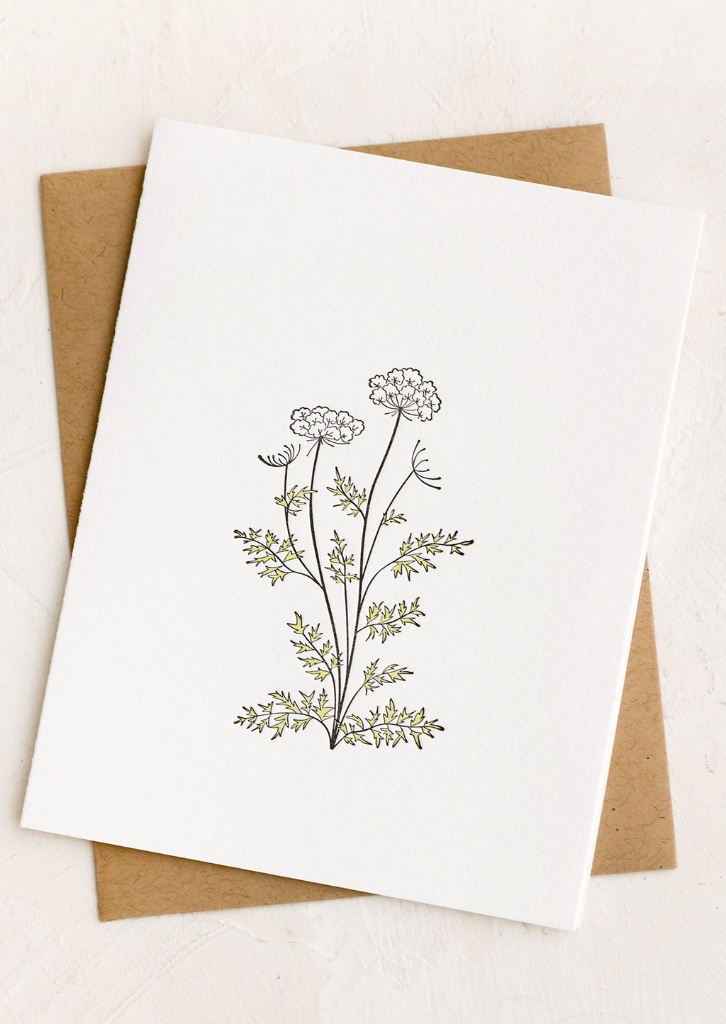 Queen Anne's Lace: A blank white card with queen anne's lace illustration.