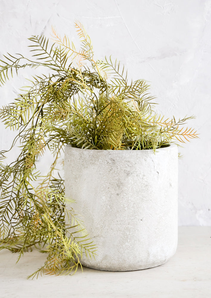 Distressed ceramic and concrete planter in grey/white finish, with medium sized plant.