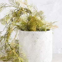 Large [$48.00]: Distressed ceramic and concrete planter in grey/white finish, with medium sized plant.