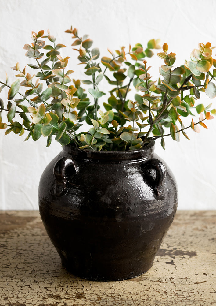 A dark brown ceramic jar with decorative loop handles, holding eucalyptus.