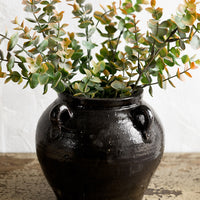 1: A dark brown ceramic jar with decorative loop handles, holding eucalyptus.