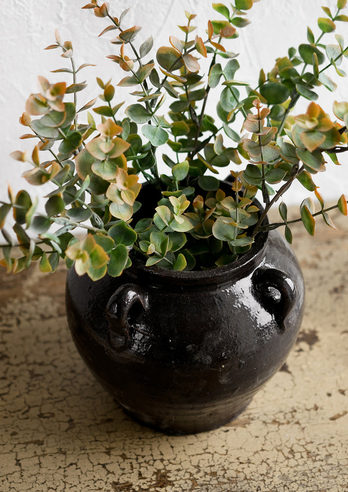 A dark brown ceramic jar with decorative loop handles, holding eucalyptus.