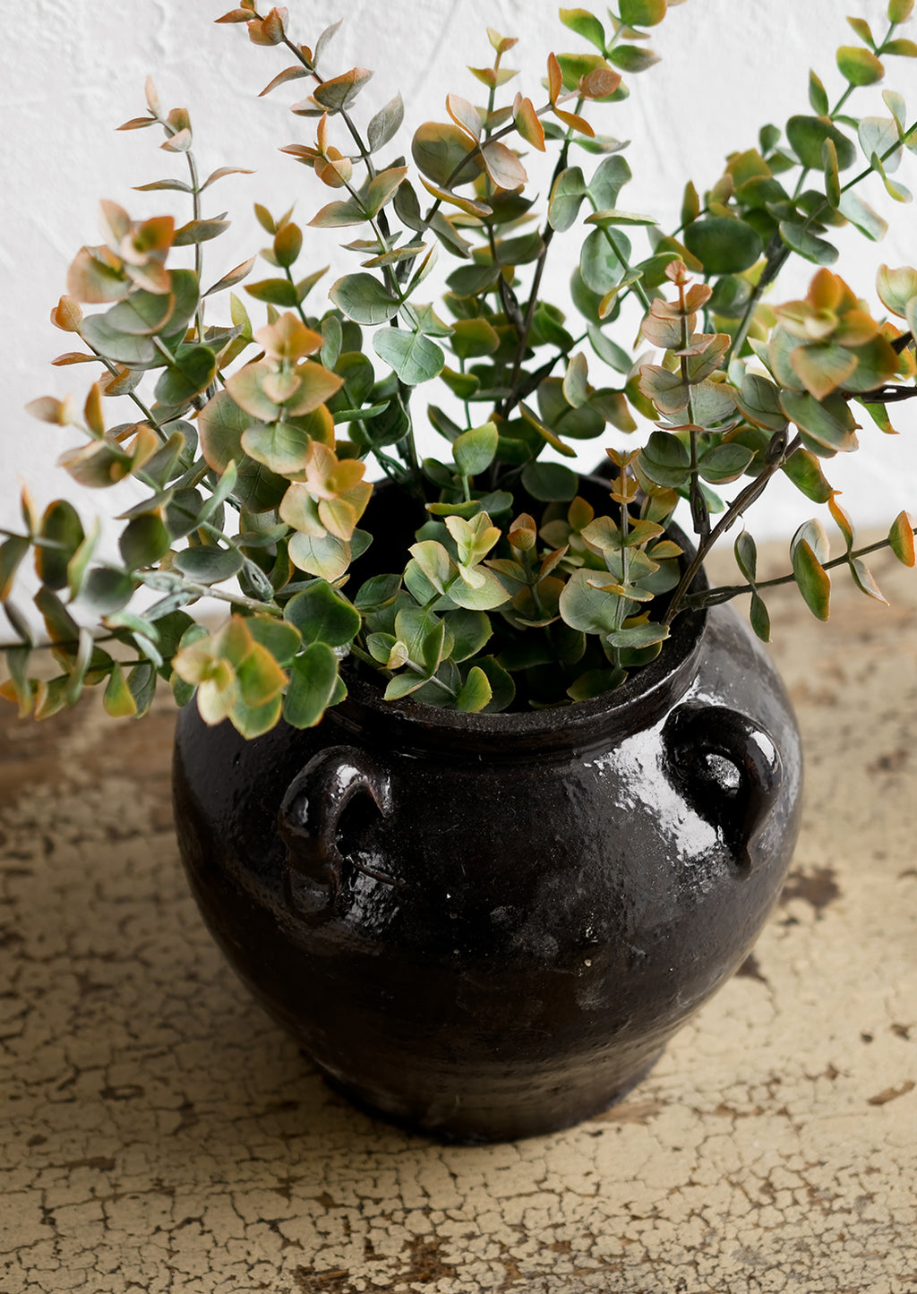 3: A dark brown ceramic jar with decorative loop handles, holding eucalyptus.