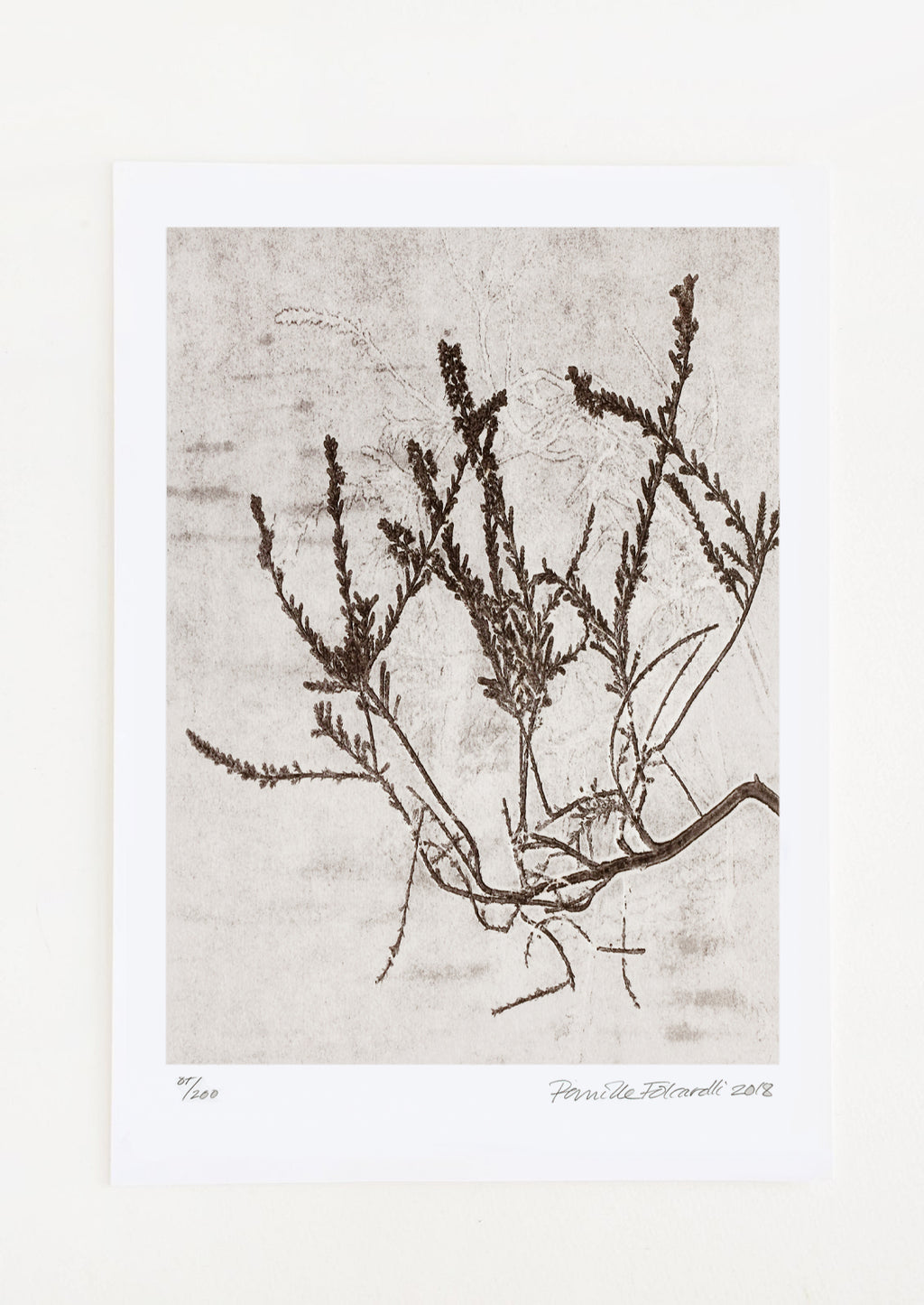 1: A botanical art print of heather plant in brown.