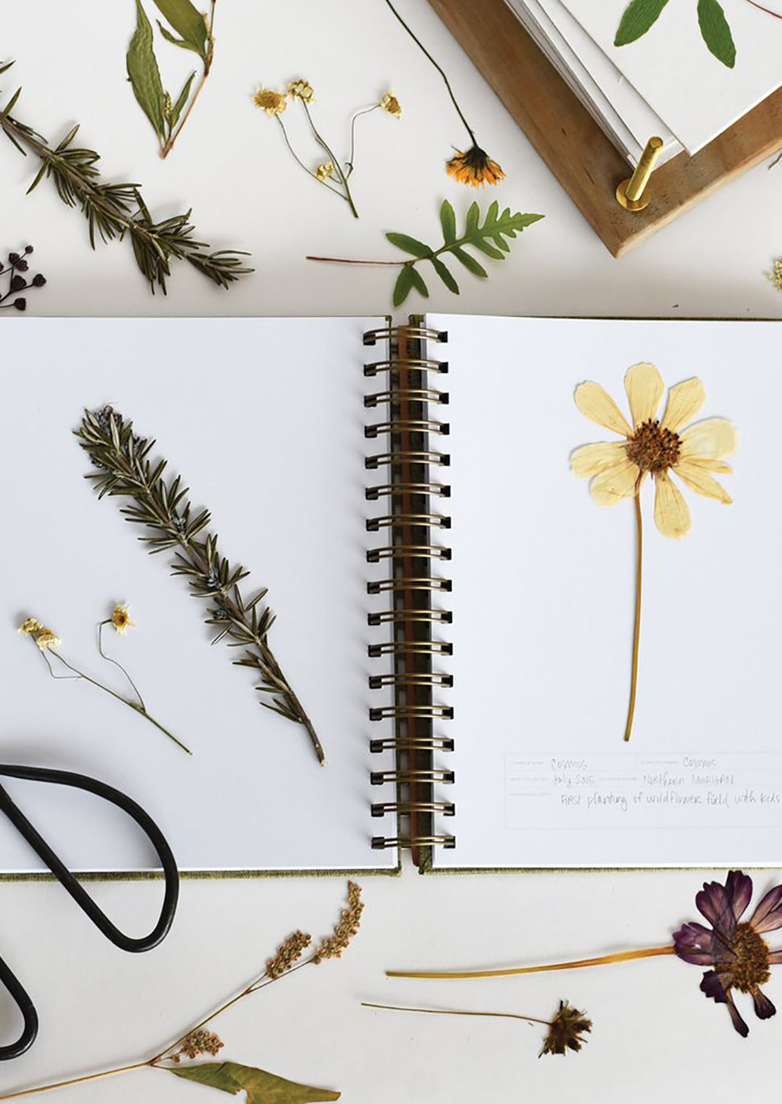 Botanic Sample Collection Journal Botanical Specimen Collecting Journal – LEIF