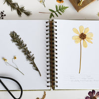 2: Pressed floral specimens in a journal.