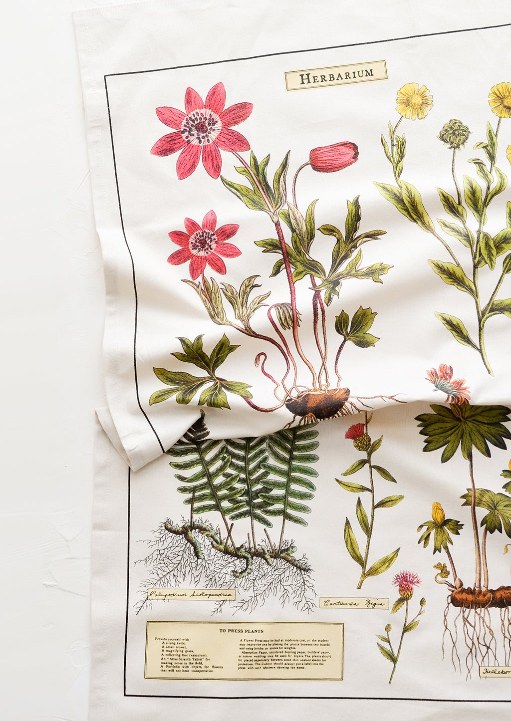 1: A cotton tea towel with colorful herbarium plant print.