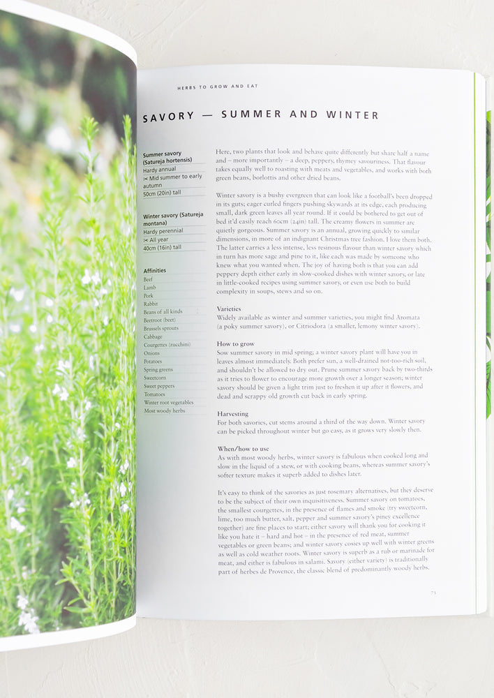 A page in a book about summer savory and winter savory.