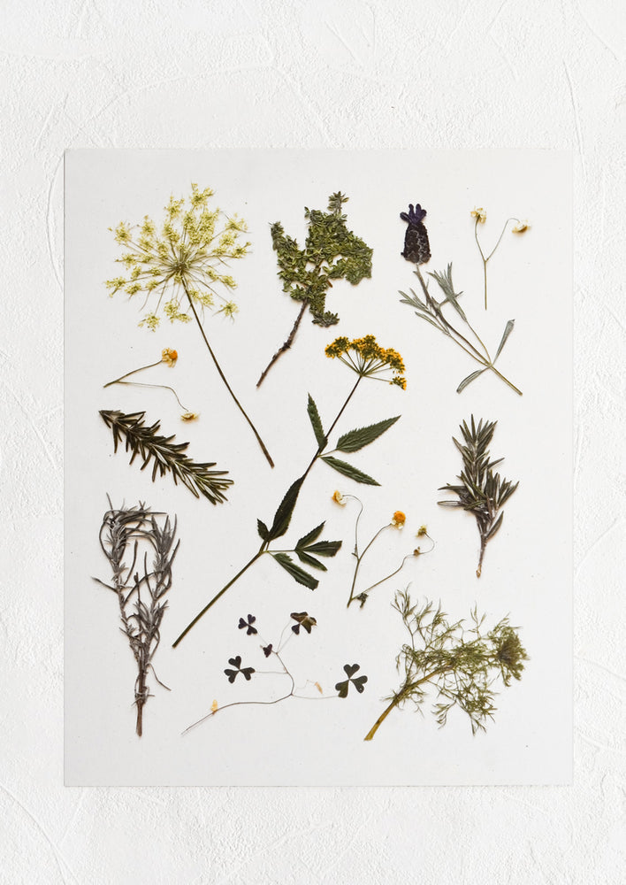 A digitally printed art print of pressed wildflowers and herbs on white background.