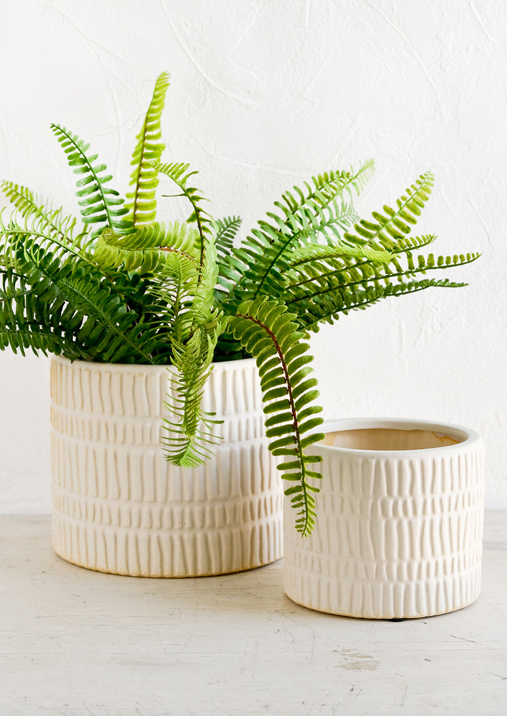 Small: Two bisque ceramic planters in small and large sizes, large size shown with fern plant.
