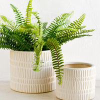 Small: Two bisque ceramic planters in small and large sizes, large size shown with fern plant.