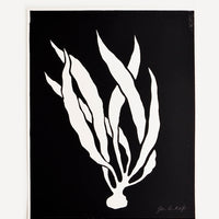 1: Hand printed artwork with black background and silhouetted white seaweed