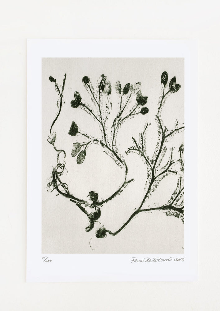 Kelp in Olive Print