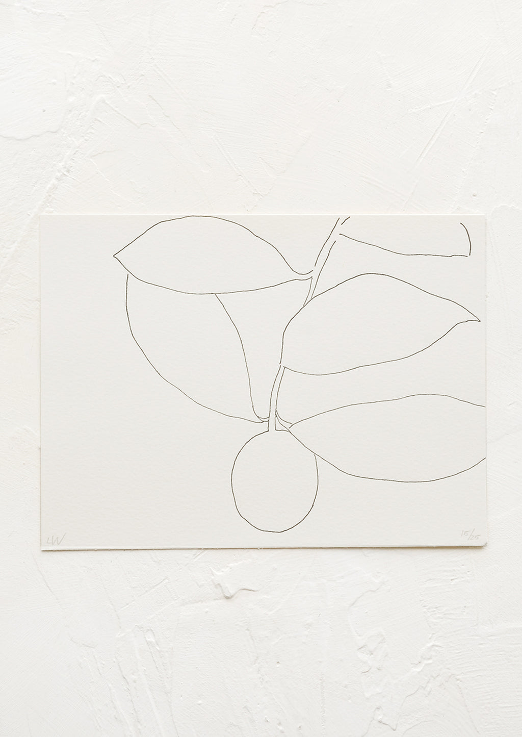 1: A black and white line drawing art print of a kumquat.