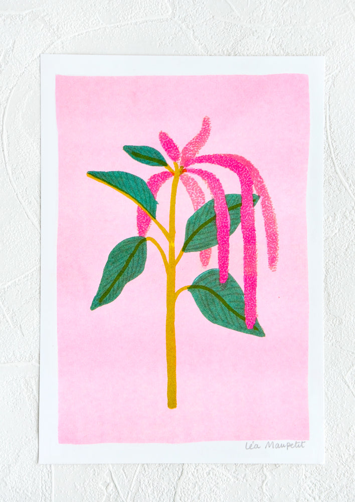Risograph art print with neon coral background and amaranth stem