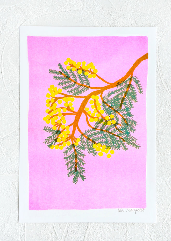 Risograph art print with neon coral background and mimosa branch