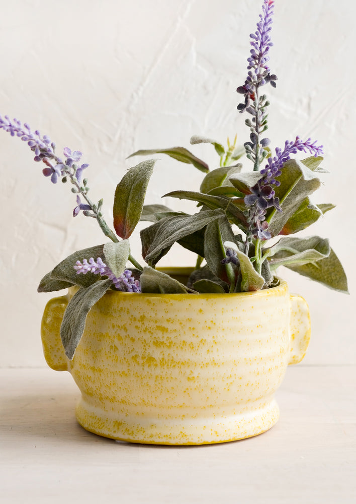 A yellow ceramic planter with lavender plant.