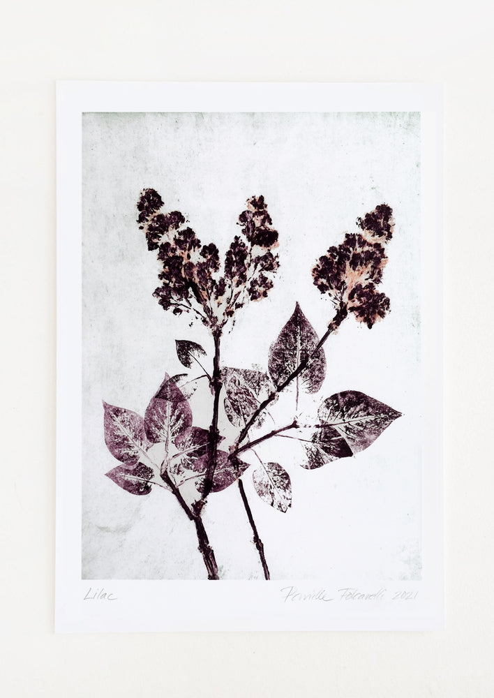 A botanical art print of lilac silhouette on pale mint background.