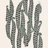 1: An antique inspired print with graphic "beans" design.