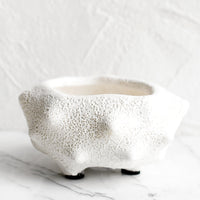 2: A small white ceramic planter with rough texture glaze and craggy, pointy shape.