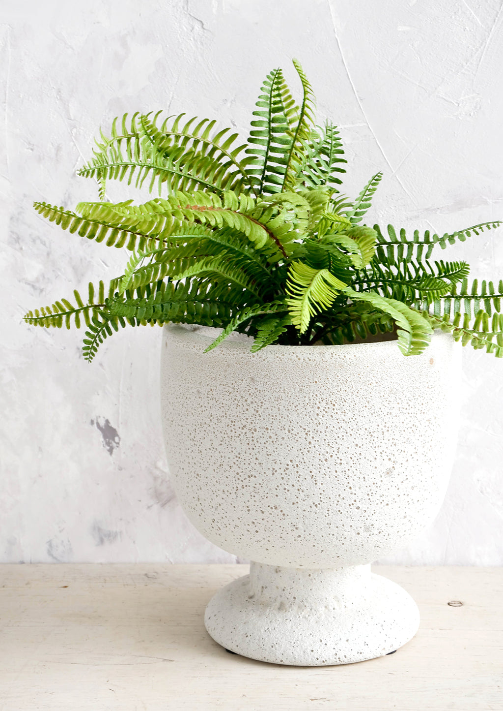 2: A planter in matte light grey textured glaze and footed urn shape, with fern plant.