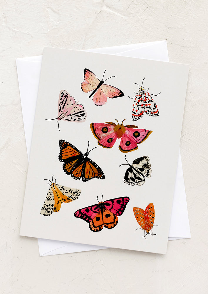 A greeting card with illustration of moths and butterflies.