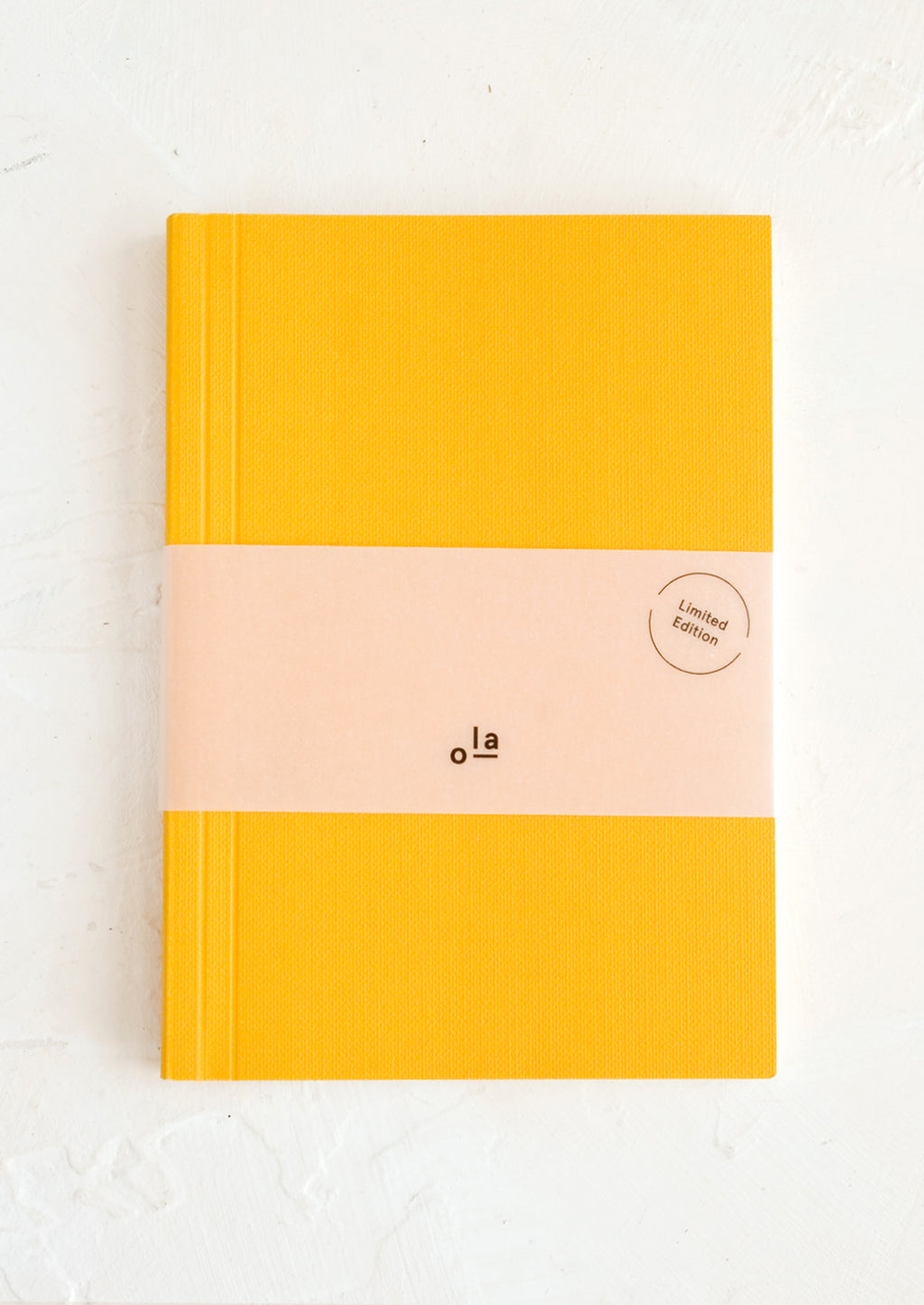Small / Mustard / Dot Grid: A small yellow notebook.