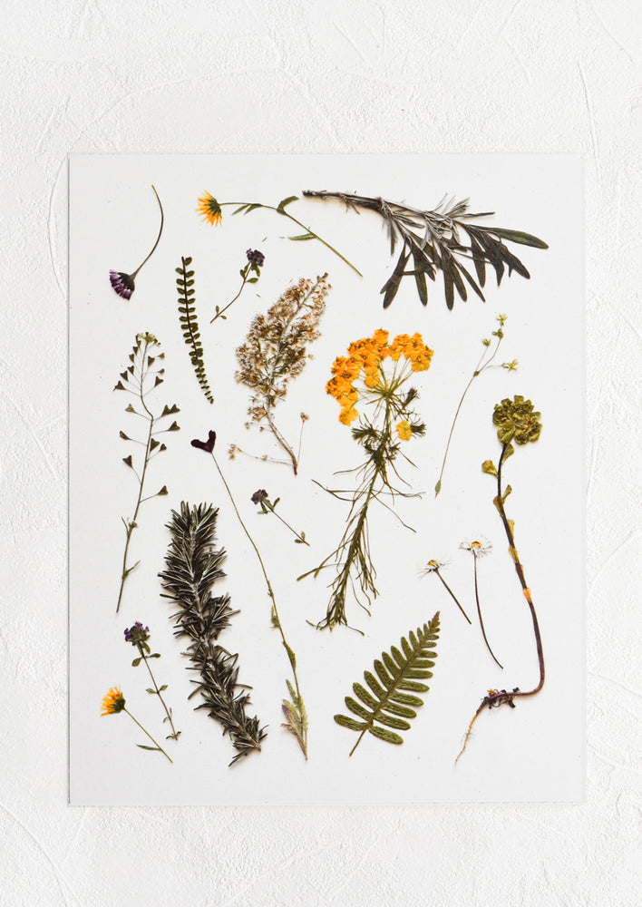 A digitally printed art print of pressed wildflowers and olive sprigs on white background.