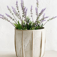 1: A ceramic planter with lavender plant.