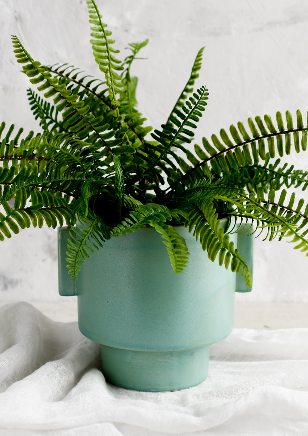 2: A ceramic planter in turquoise glaze with straight side tabs, with fern.