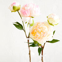 2: Realistic faux peony flowers in white and pink, displayed in glass vases