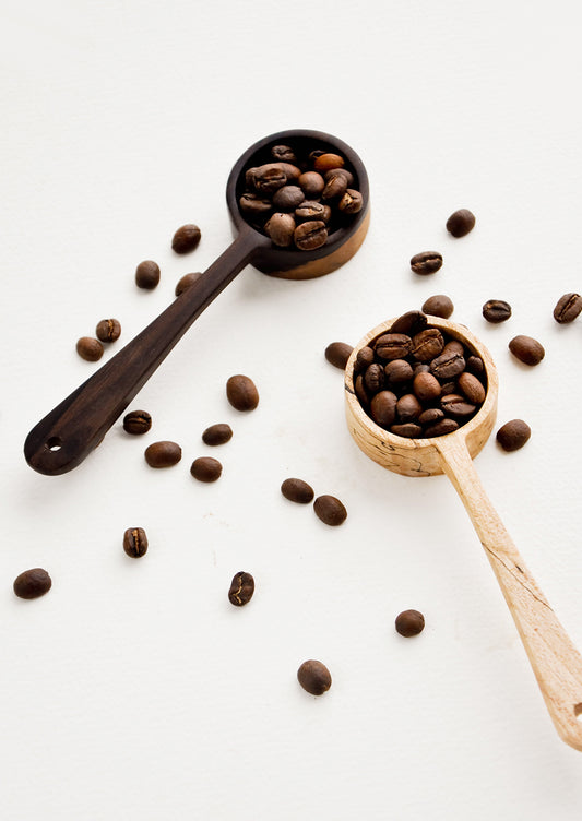 Peten Wooden Coffee Scoop in  - LEIF