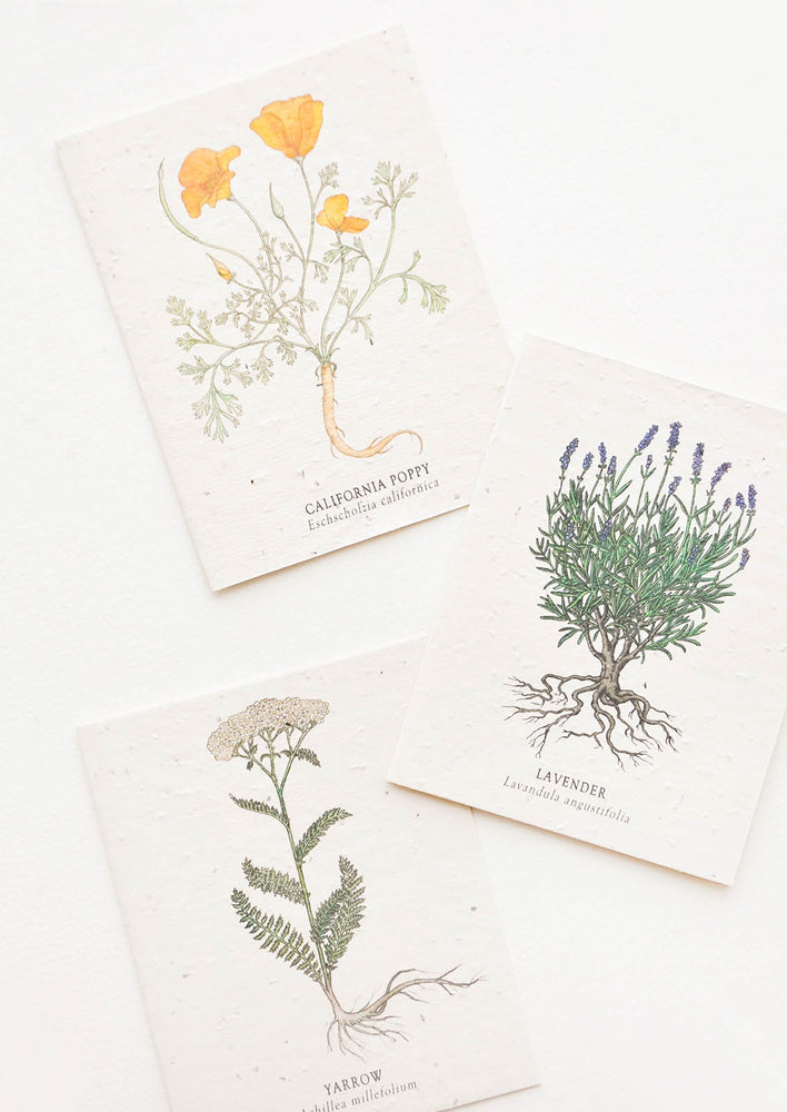 Wildflower Seed Paper Card hover