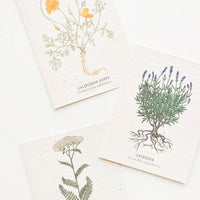 2: Product shot showing three styles of notecards.