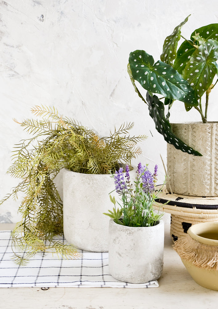 3: Assorted ceramic and concrete planters displayed on table with plants