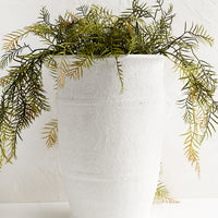 Large: A tall planter in textured white glaze with green plant.