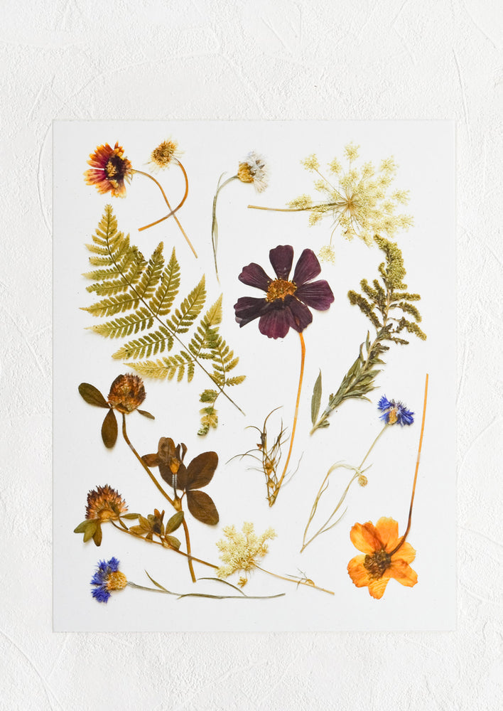 A digitally printed art print of pressed wildflowers and ferns on white background.