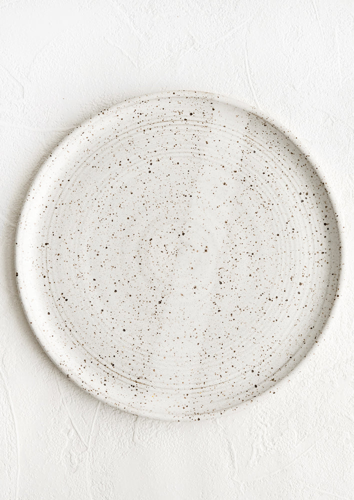 Speckled White / Dinner Plate: A speckled white ceramic dinner plate.