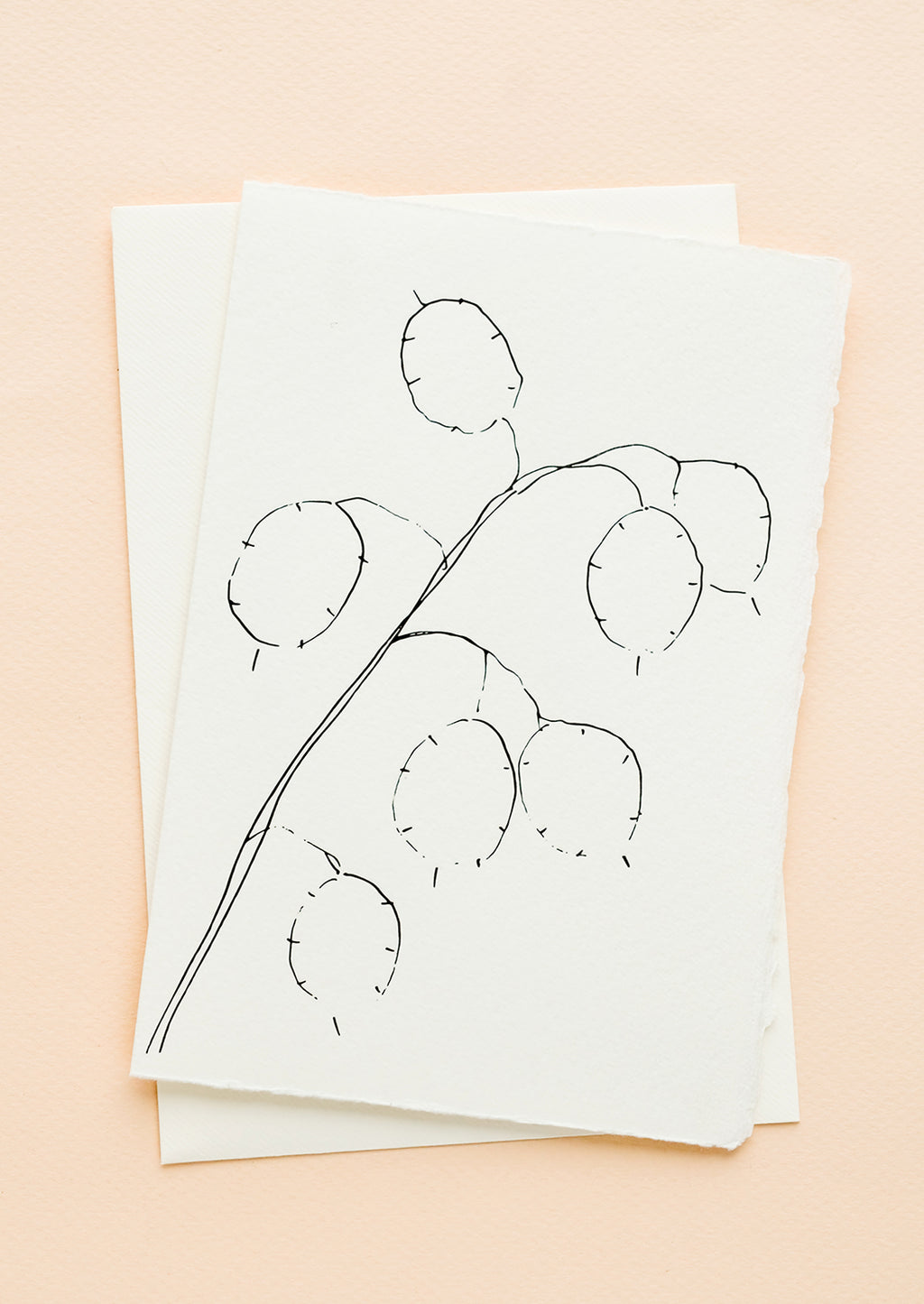 Lunaria: A white greeting card with black and white illustration of lunaria plant.