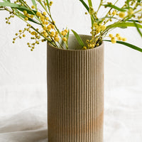 1: A sand brown cylindrical ceramic vase with mimosa flowers.