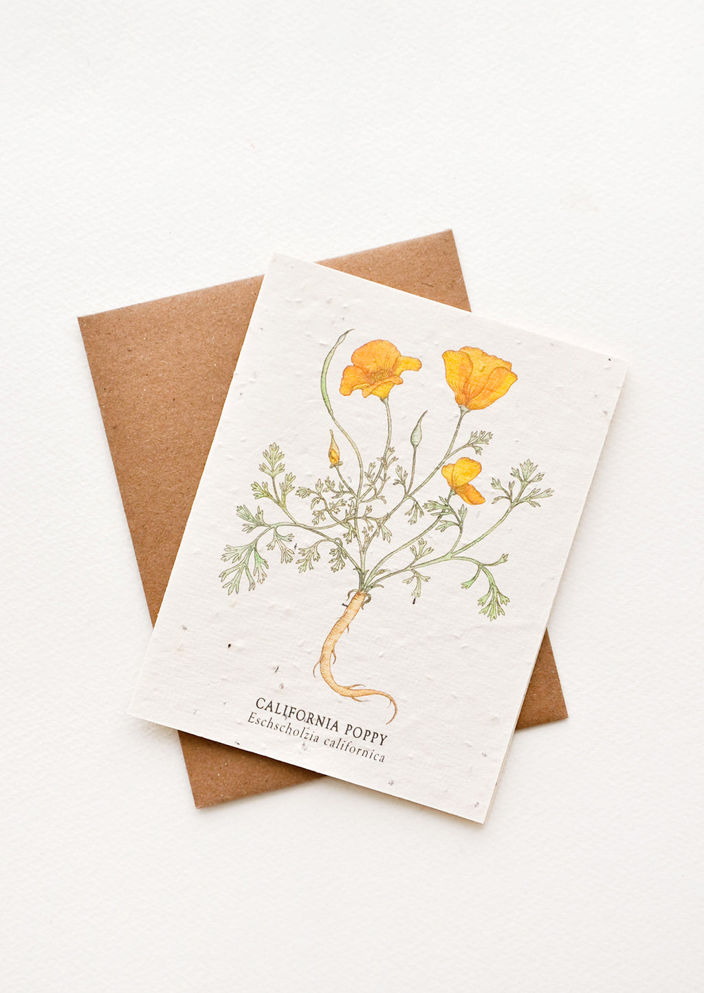 California Poppy: Notecard with drawing of a poppy flower and brown envelope.