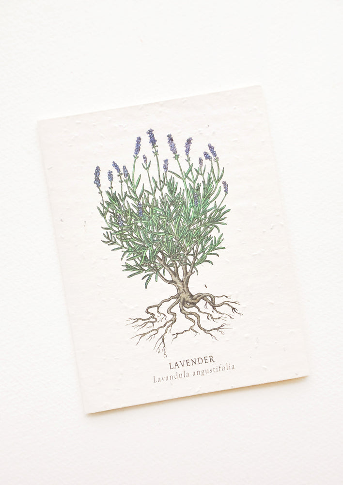 Notecard with drawing of a lavender plant.