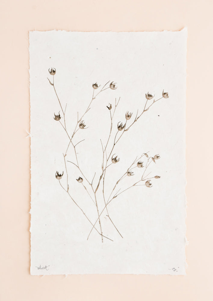 Stalks of long grasses are printed in black and white on rough edged paper.