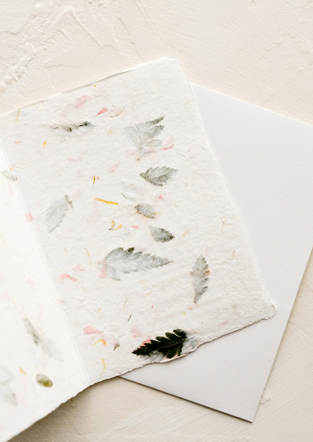 2: The blank inside of a greeting card made from handmade flower petal paper.