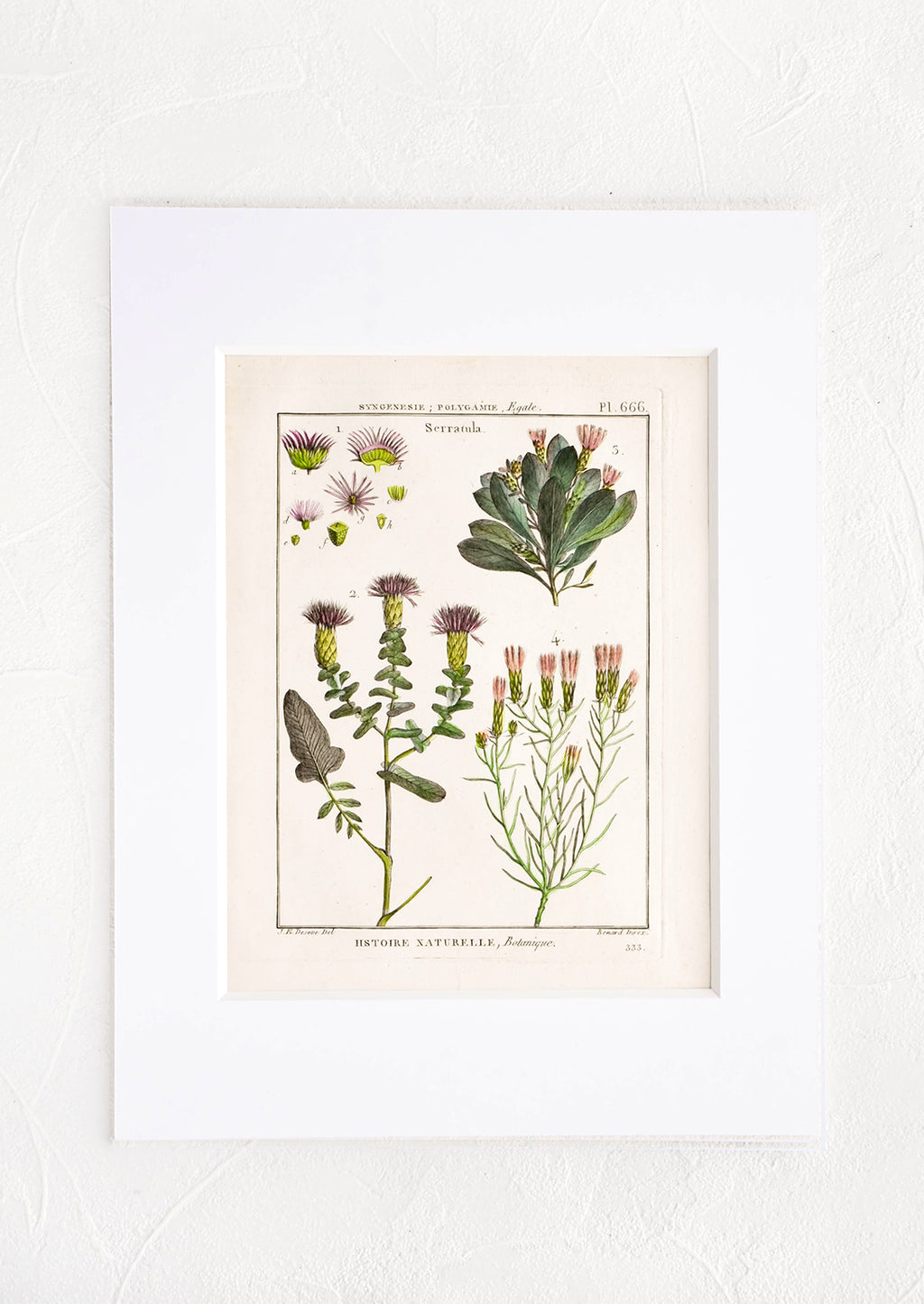 1: Vintage botanical print with white mat. Print features green and pink leaves and flowers.