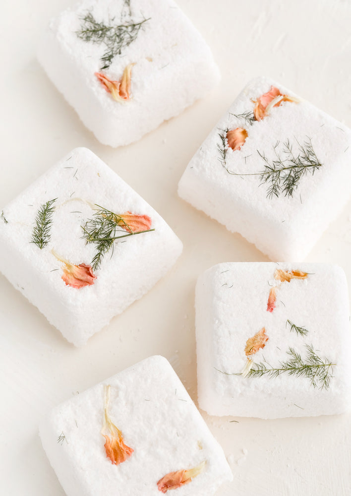 Flora + Fern / 2 Pack: Square shower steamer tablets with embedded petals and leaves.