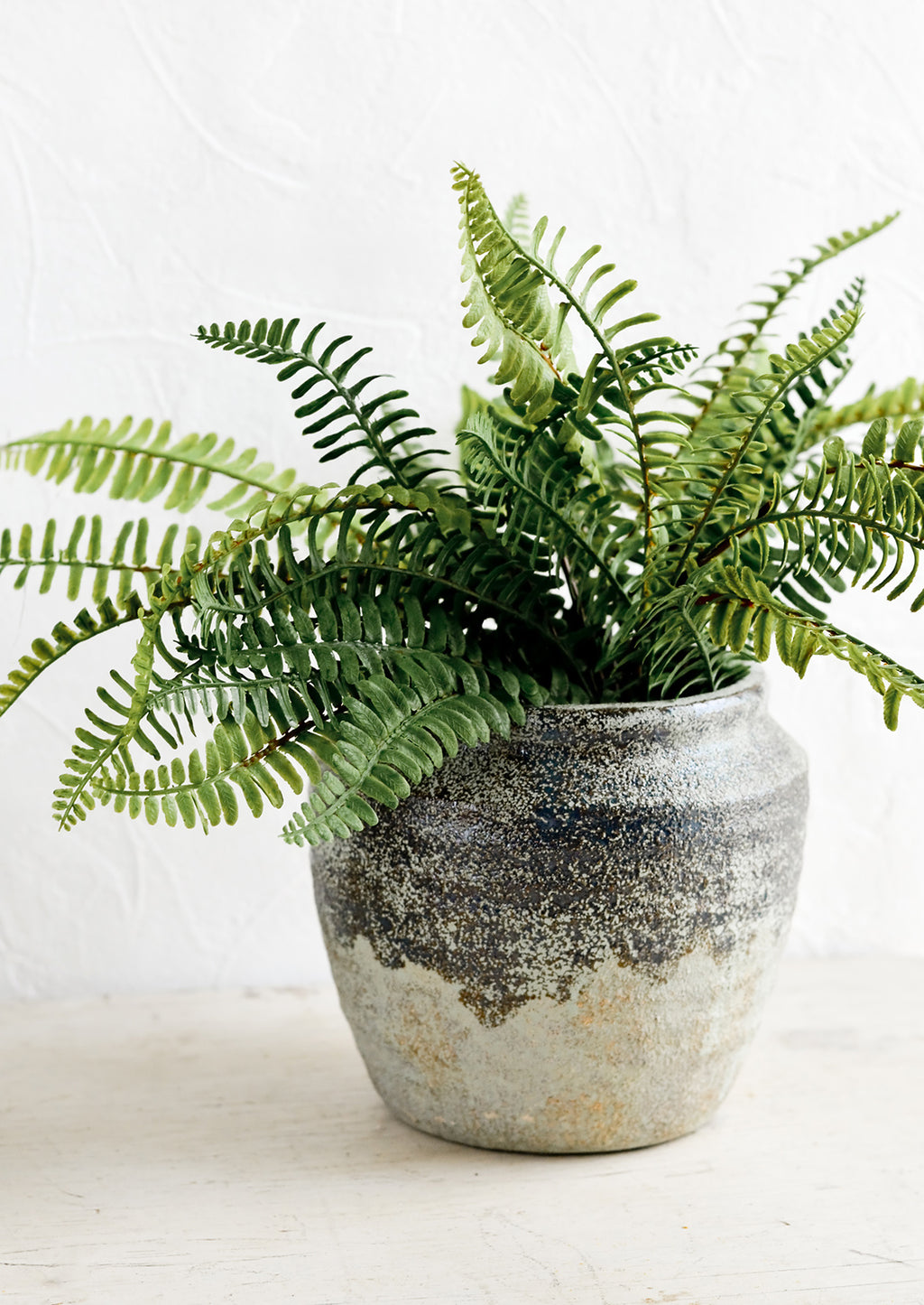 2: A ceramic planter in a distressed mossy green patina, housing a fern plant.