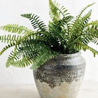 2: A ceramic planter in a distressed mossy green patina, housing a fern plant.
